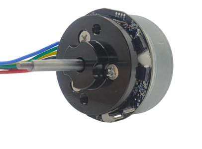 BL4820 pet robot small dc motor