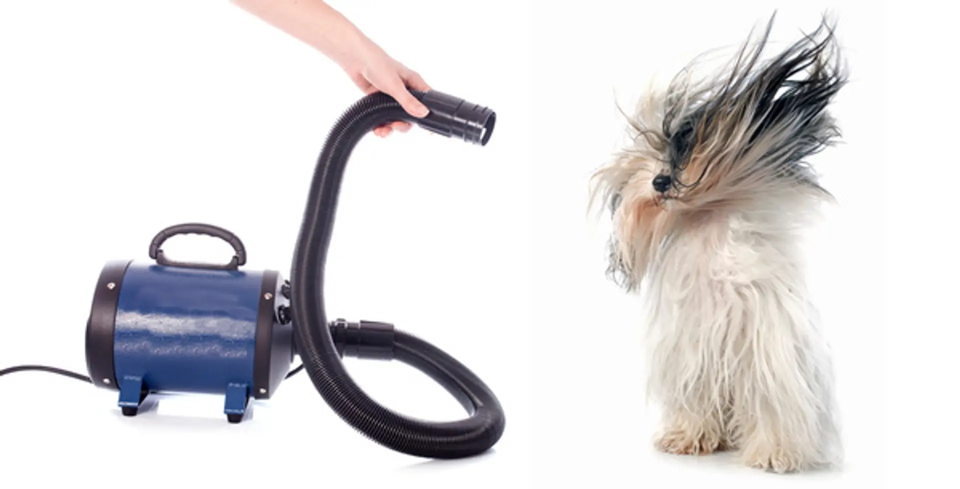 High-Speed BLDC Motor: Meet with Pet Hair Dryers