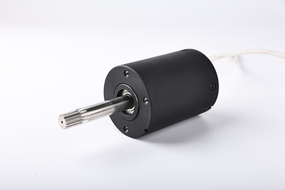 HIGH VOLTAGE BRUSHLESS MOTOR